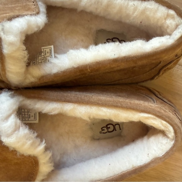 Ugg Ascot Chestnut Suede Men Winter Slippers With Shearling Lining Size 12 NWT main image 5